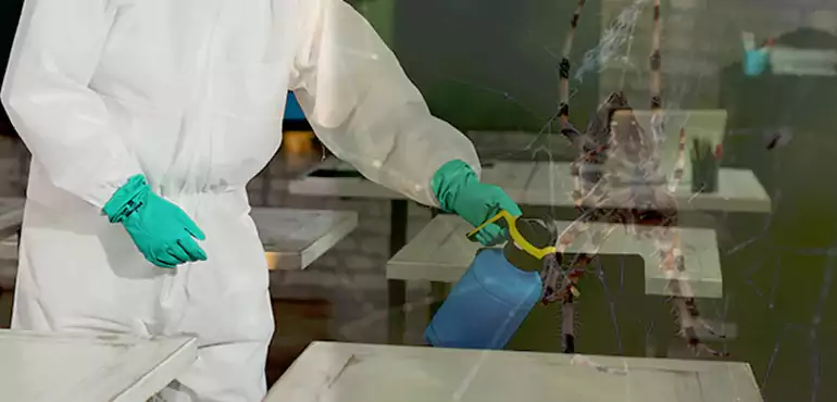 Why Buyers Still Want Homes With Pest Infestations in Jacksonville, FL?