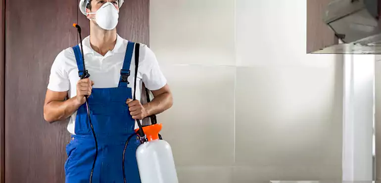 Why Jacksonville Homeowners Choose Us When Pests Make Selling Difficult